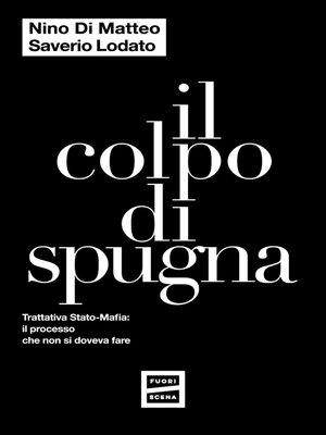 cover image of Il colpo di spugna